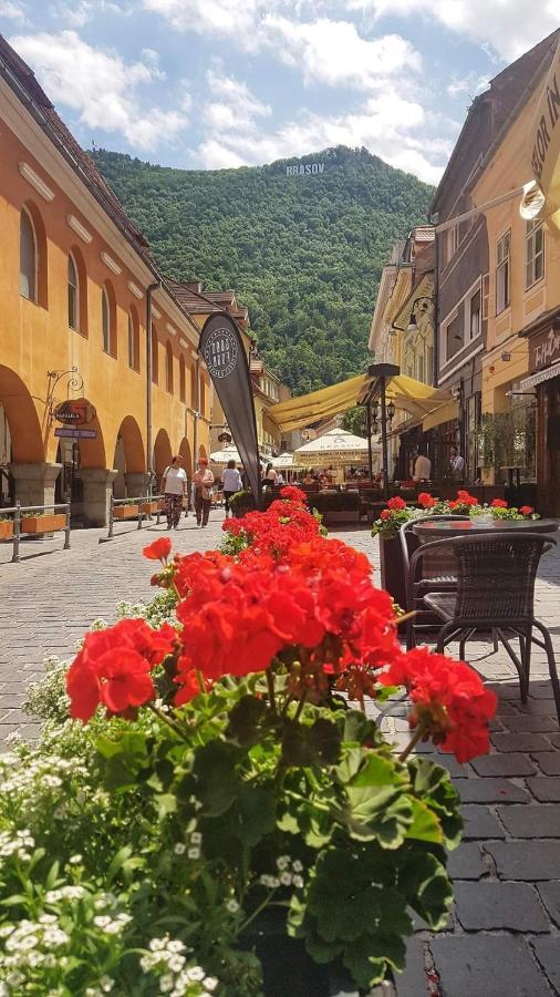 Avantgarden Brasov, Perfect Home - 1 Room Apartment Bagian luar foto