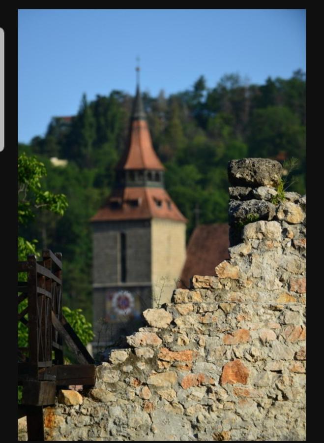 Avantgarden Brasov, Perfect Home - 1 Room Apartment Bagian luar foto